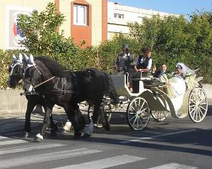 marignane - associations- 15.09.2012 077